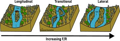 The continuum of wood-induced channel bifurcations